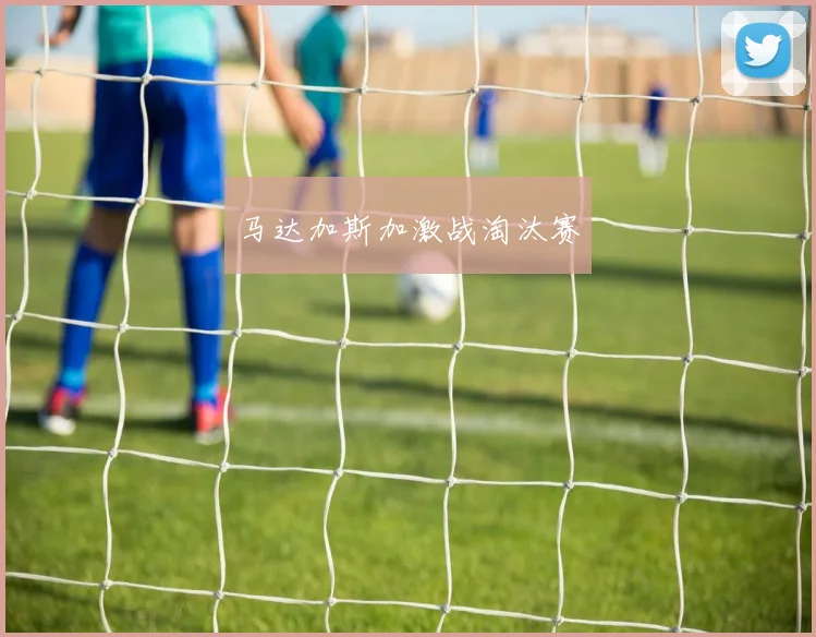 马达加斯加激战淘汰赛