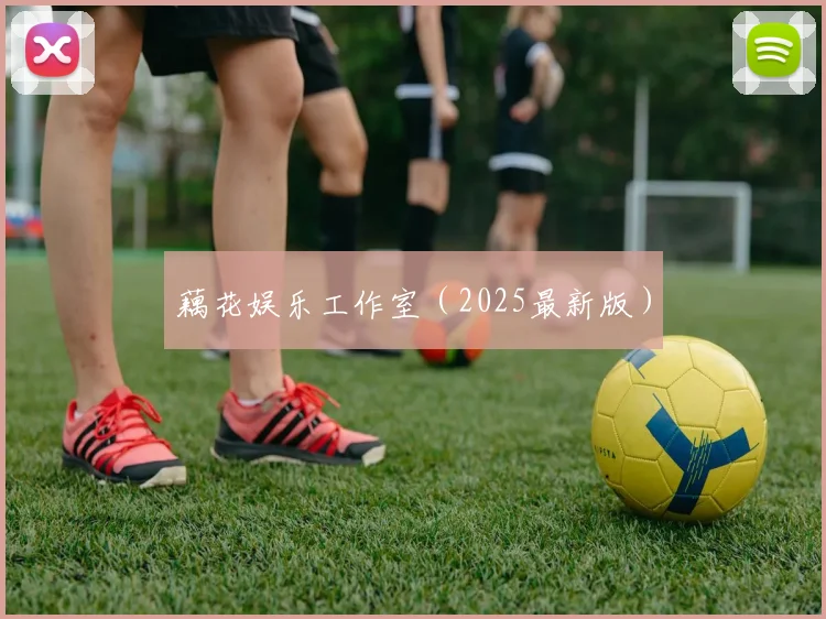 藕花娱乐工作室（2025最新版）