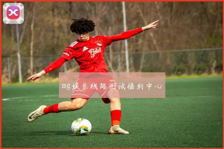 mg娱乐线路测试福利中心