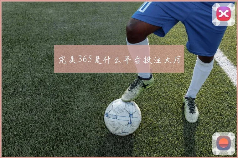完美365是什么平台投注大厅