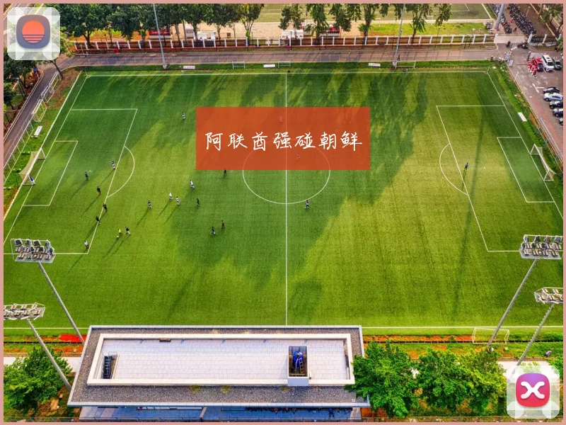 阿联酋强碰朝鲜