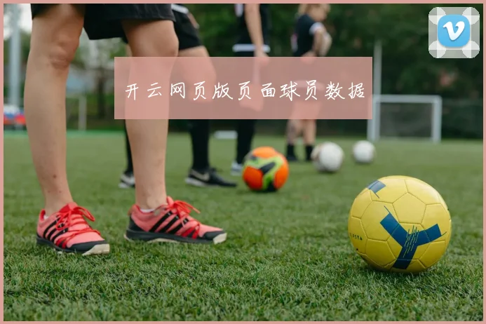 开云网页版页面球员数据