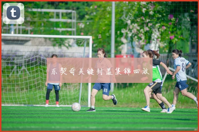 东契奇关键封盖集锦回放