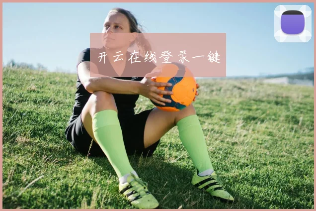 开云在线登录一键