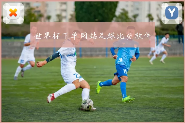 世界杯下单网站足球比分软件