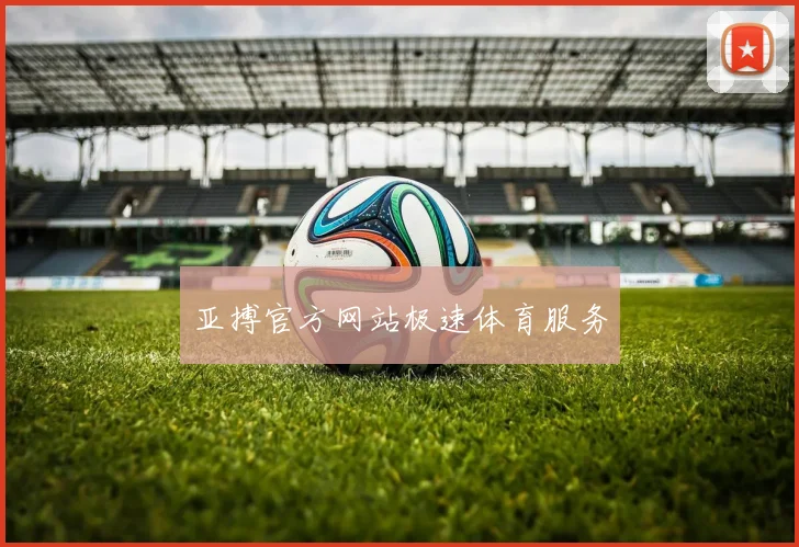 亚搏官方网站极速体育服务