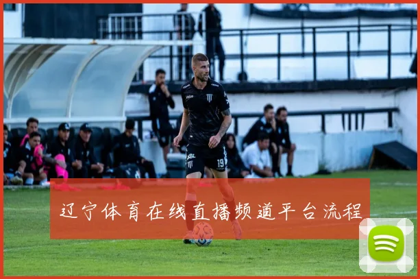 辽宁体育在线直播频道平台流程
