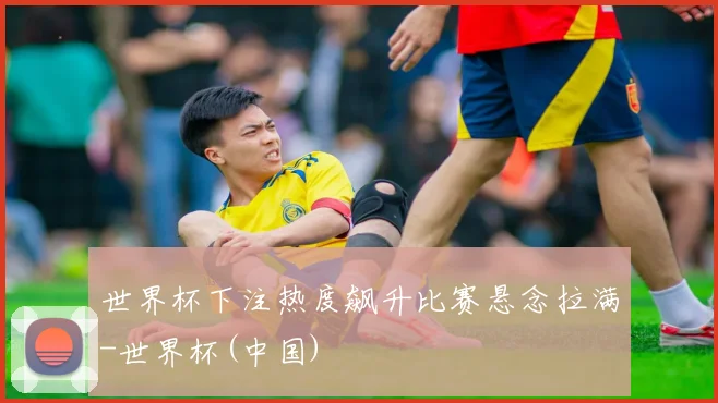 世界杯下注热度飙升比赛悬念拉满-世界杯(中国)