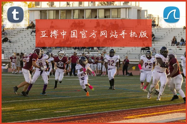 亚搏中国官方网站手机版