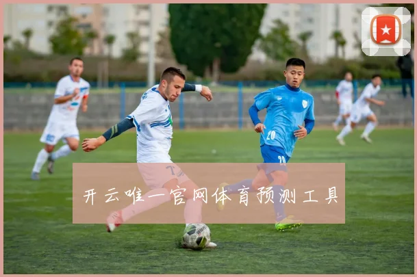 开云唯一官网体育预测工具