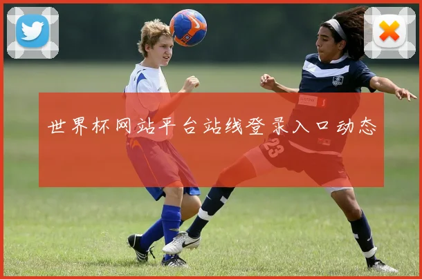 世界杯网站平台站线登录入口动态