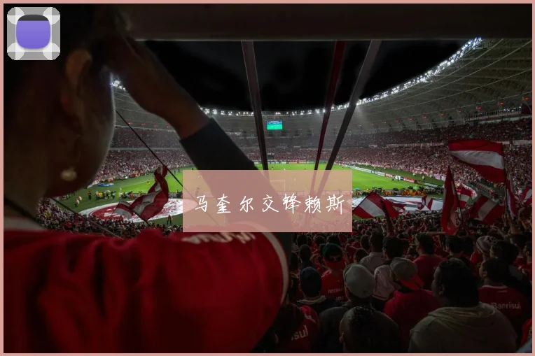 马奎尔交锋赖斯