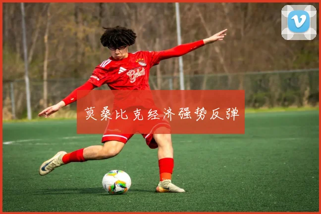 莫桑比克经济强势反弹