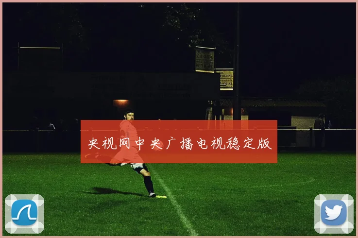 央视网中央广播电视稳定版