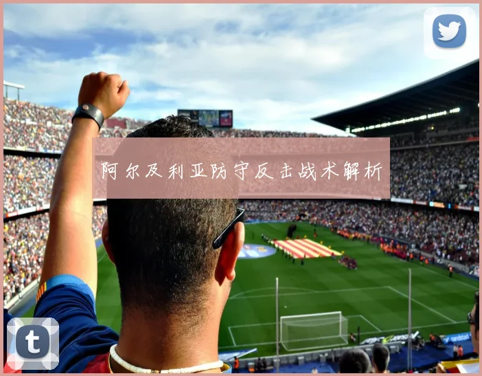 阿尔及利亚防守反击战术解析