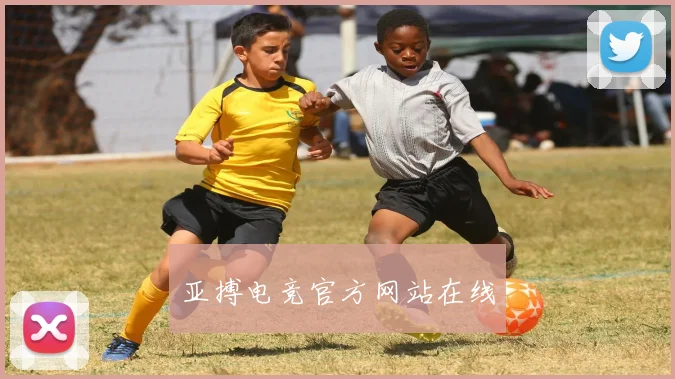 亚搏电竞官方网站在线