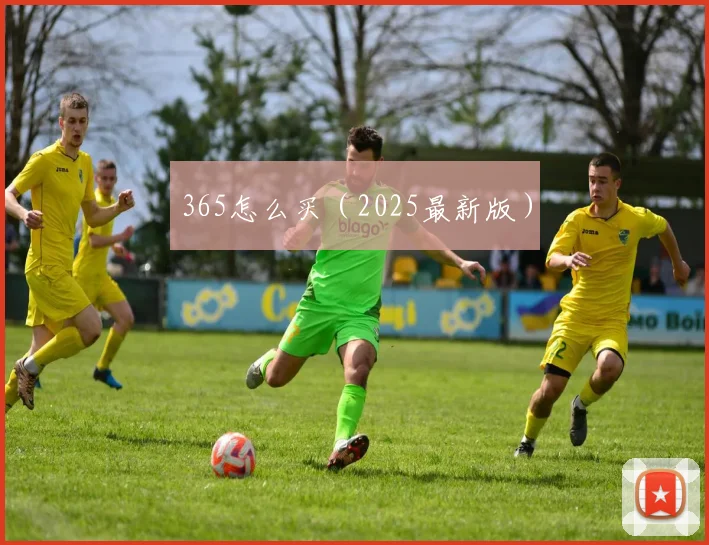 365怎么买（2025最新版）