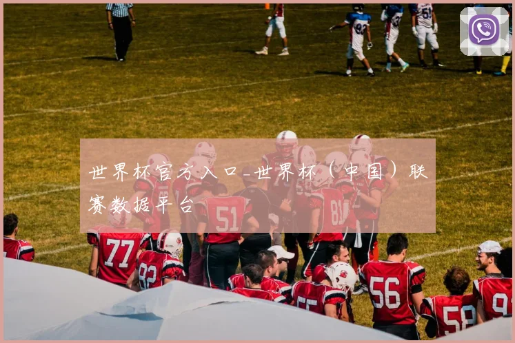 世界杯官方入口_世界杯（中国）联赛数据平台