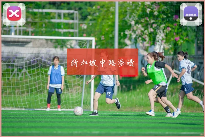 新加坡中路渗透