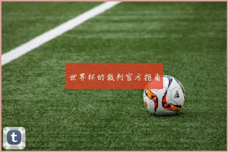 世界杯的裁判官方指南