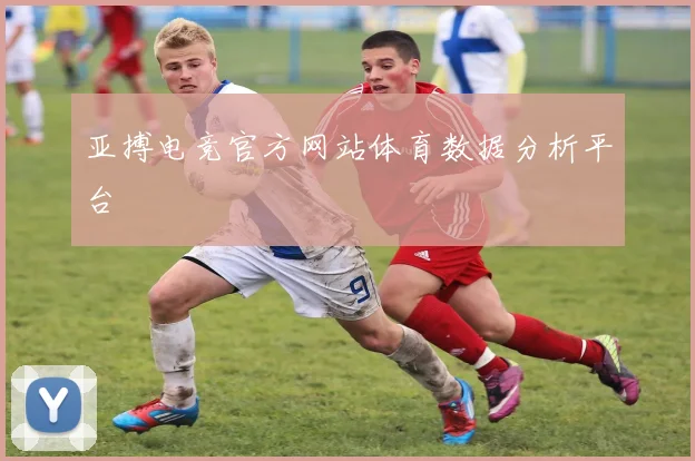亚搏电竞官方网站体育数据分析平台