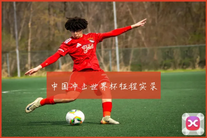中国冲击世界杯征程实录