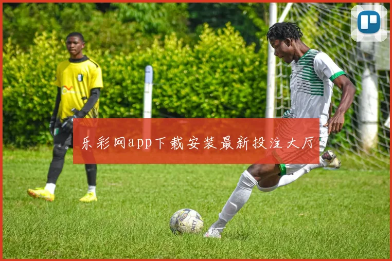 乐彩网app下载安装最新投注大厅