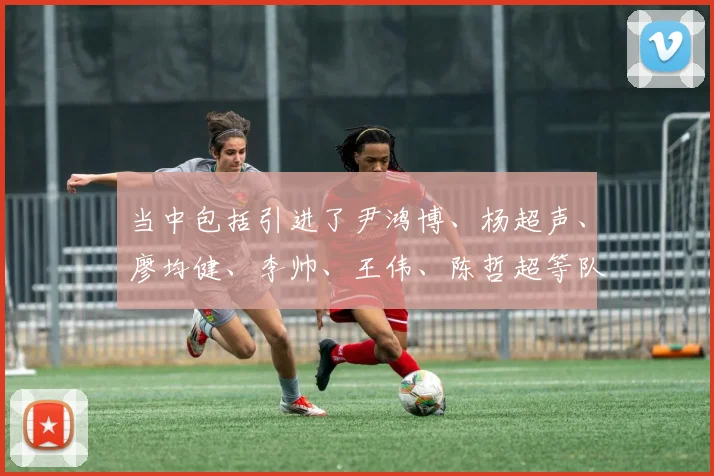 当中包括引进了尹鸿博、杨超声、廖均健、李帅、王伟、陈哲超等队员