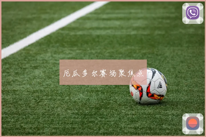 厄瓜多尔赛场聚焦点