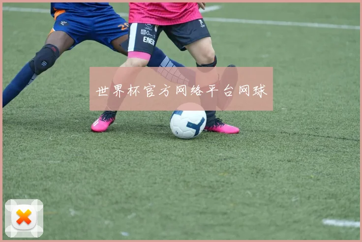 世界杯官方网络平台网球