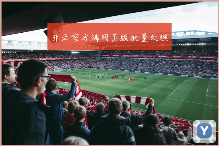 开云官方端网页版批量处理