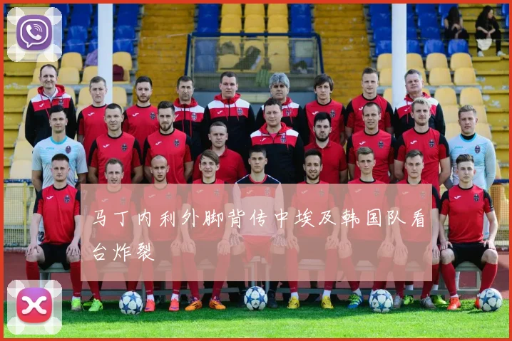 马丁内利外脚背传中埃及韩国队看台炸裂