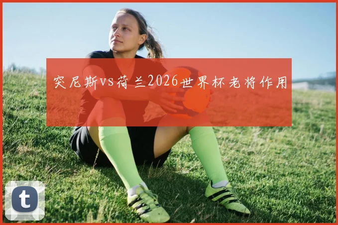 突尼斯vs荷兰2026世界杯老将作用