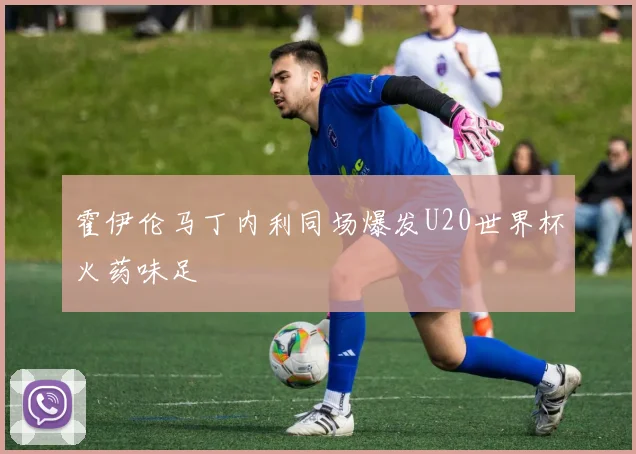 霍伊伦马丁内利同场爆发U20世界杯火药味足