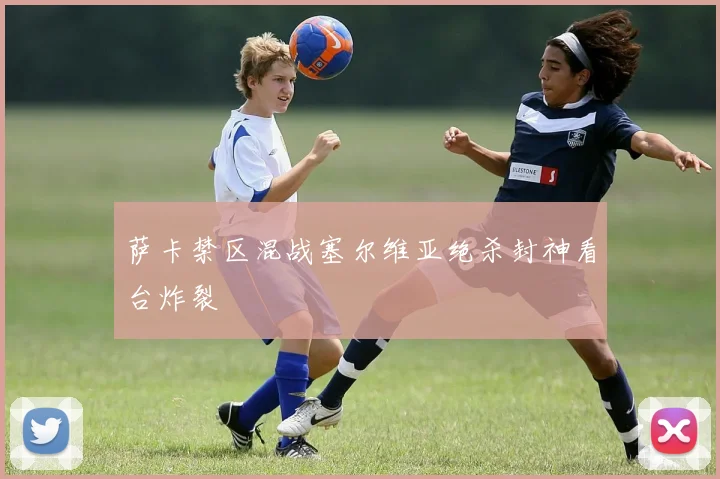 萨卡禁区混战塞尔维亚绝杀封神看台炸裂