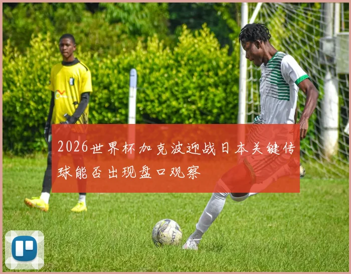2026世界杯加克波迎战日本关键传球能否出现盘口观察