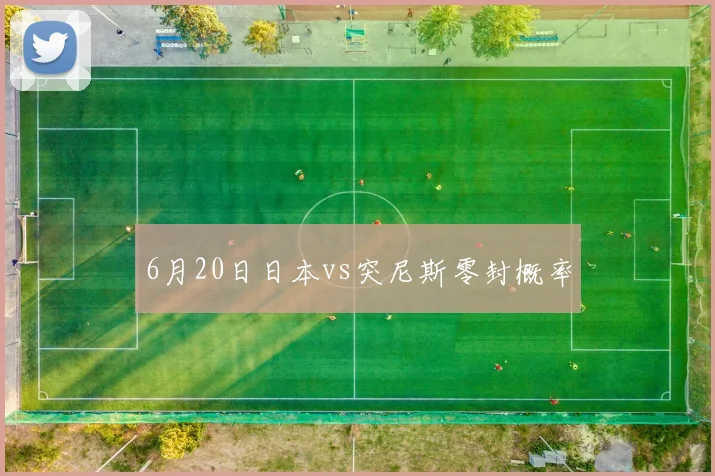 6月20日日本vs突尼斯零封概率