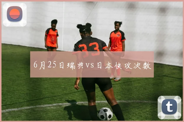 6月25日瑞典vs日本快攻次数