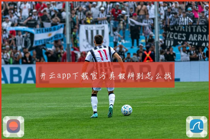 开云app下载官方真假辨别怎么找