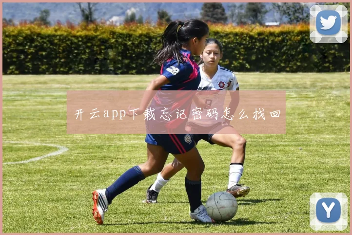 开云app下载忘记密码怎么找回